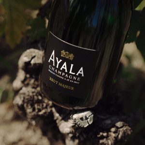 AYALA_Contours of AYALA_Carnet de Vendanges_ 2025_©Goodkids (6)